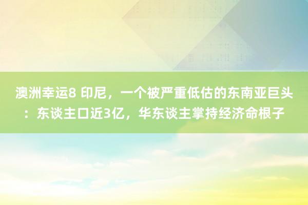澳洲幸运8 印尼，一个被严重低估的东南亚巨头：东谈主口近3亿，华东谈主掌持经济命根子