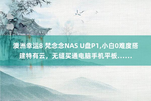 澳洲幸运8 梵念念NAS U盘P1,小白0难度搭建特有云，无缝买通电脑手机平板……